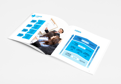 上海IDB企業管理咨詢宣傳冊設計