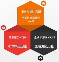 小棉襖北京管理咨詢與吉視傳媒共同推動(dòng)垂直孵化器的落地